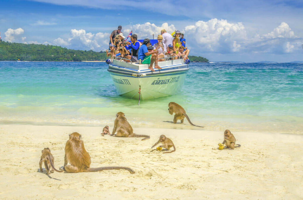 phiphi 235631221
