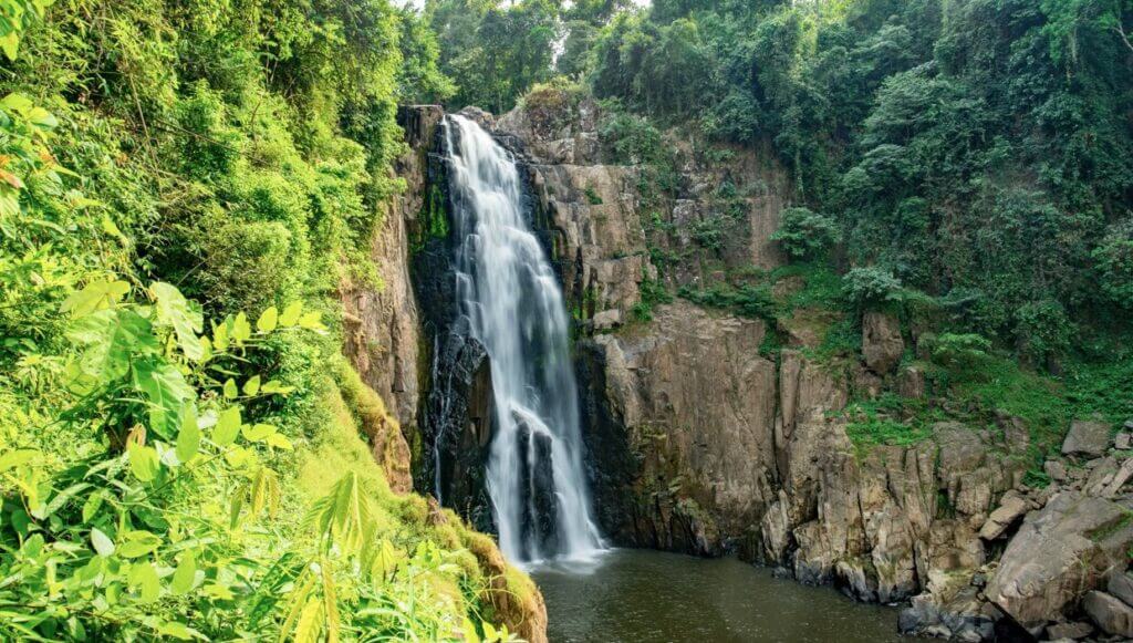 khao yai card