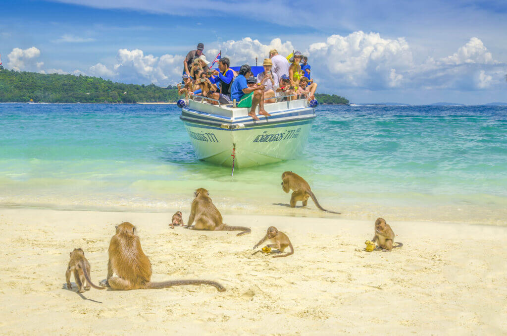 phiphi 235631221