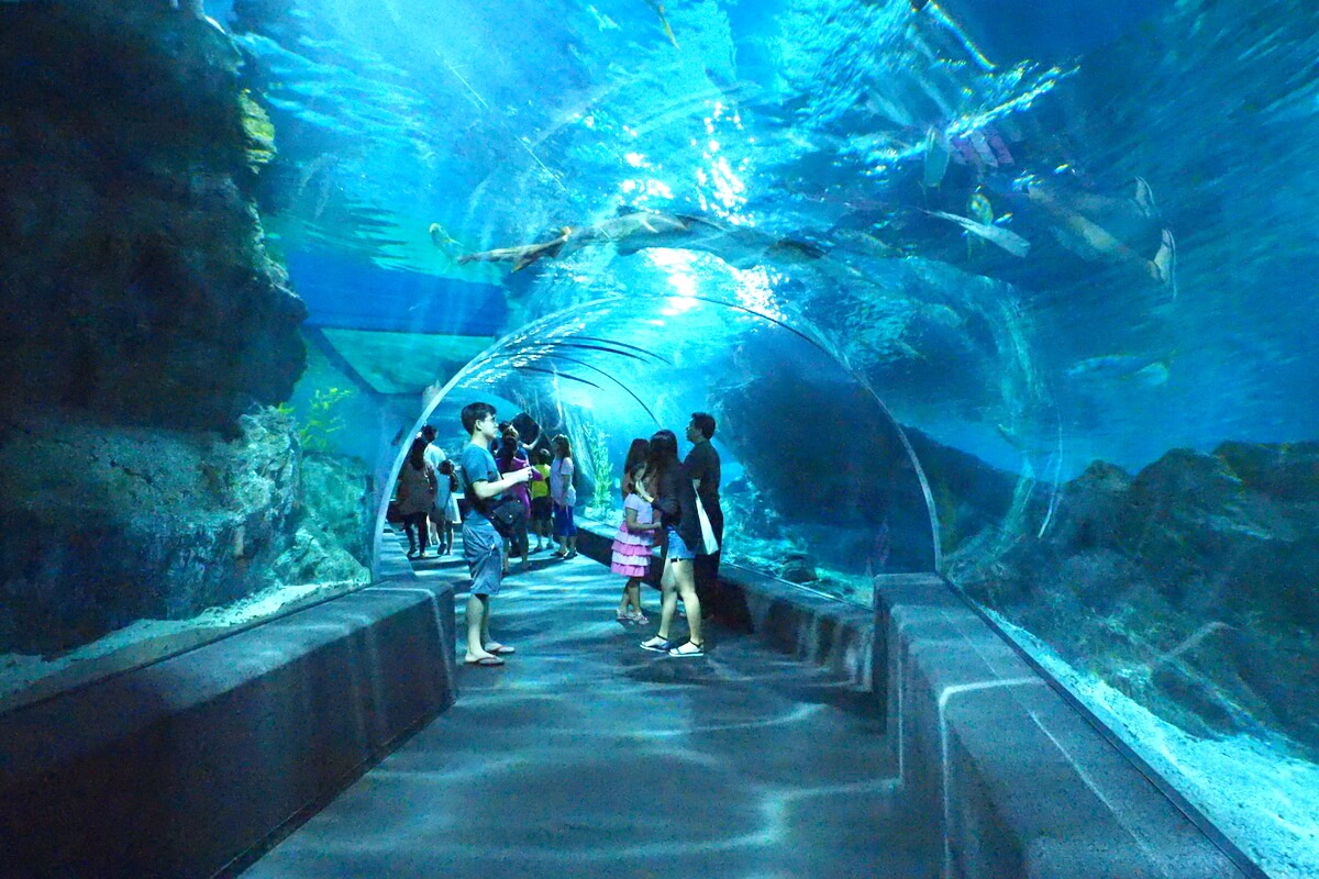 sealife ocean world 2