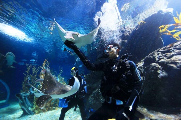 sealife ocean world 3