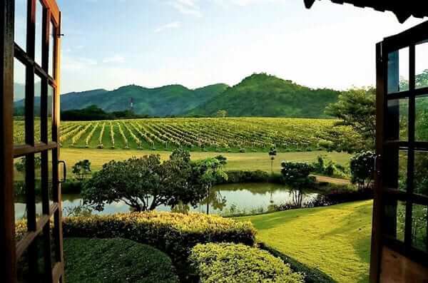 3.pb valley khao yai winery 1
