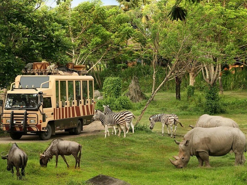 161646644safari world