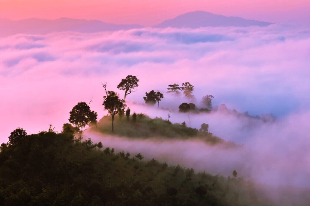 shutterstock 446523799